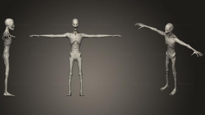 Anatomy of skeletons and skulls (Realistic Enderman, ANTM_0957) 3D models for cnc